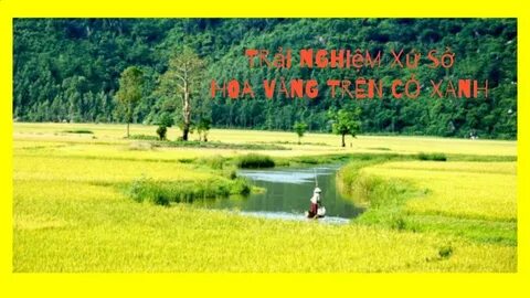 Cách Khởi Nghiệp Kiếm Tiền Bán Thời Gian Dành Cho Người Mới_video ngắn trên TikTok