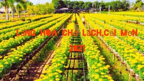 Câu chuyện cậu bé họ Huỳnh ở Uông Bí và hành trình đổi đời cùng Hotspot Matrix_Video SEO YouTube