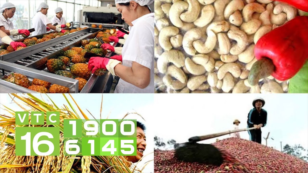 Hotspot Matrix – Kết thúc hành trình 3 ngày rực rỡ tại SECC 2025