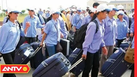 Cách Khởi Nghiệp Kiếm Tiền Bán Thời Gian Dành Cho Người Mới_chỉnh sửa chỉnh sửa video trên điện thoại