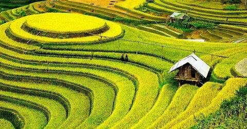 Câu chuyện cậu bé họ Huỳnh ở Uông Bí và hành trình đổi đời cùng Hotspot Matrix_Tìm người xây dựng video tự do