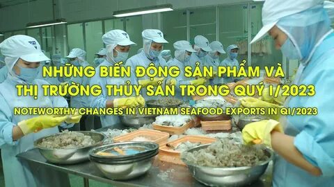 Freelancer Và Cơ Hội Kiếm Tiền Từ Nền Tảng Hotspot Matrix_Tiếp thị kỹ thuật số đại lý