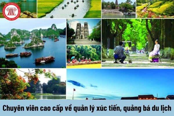 Mẹ đơn thân ở Vĩnh Yên và hành trình tìm lại chính mình cùng Hotspot Matrix_khóa học cơ bản về digital marketing