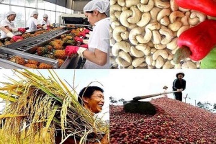 Video ngắn – Giải pháp truyền thông thông minh cho doanh nghiệp nhỏ